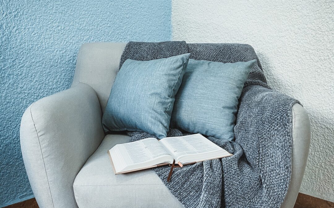 Wygodny fotel typu uszak